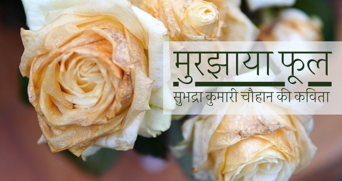 मुरझाया फूल | Subhadra Kumari Chauhan short poem in Hindi | Murjhaya Phool | सुभद्रा कुमारी चौहान की कविता हिंदी में | Subhadra Kumari Chauhan short poem in Hindi